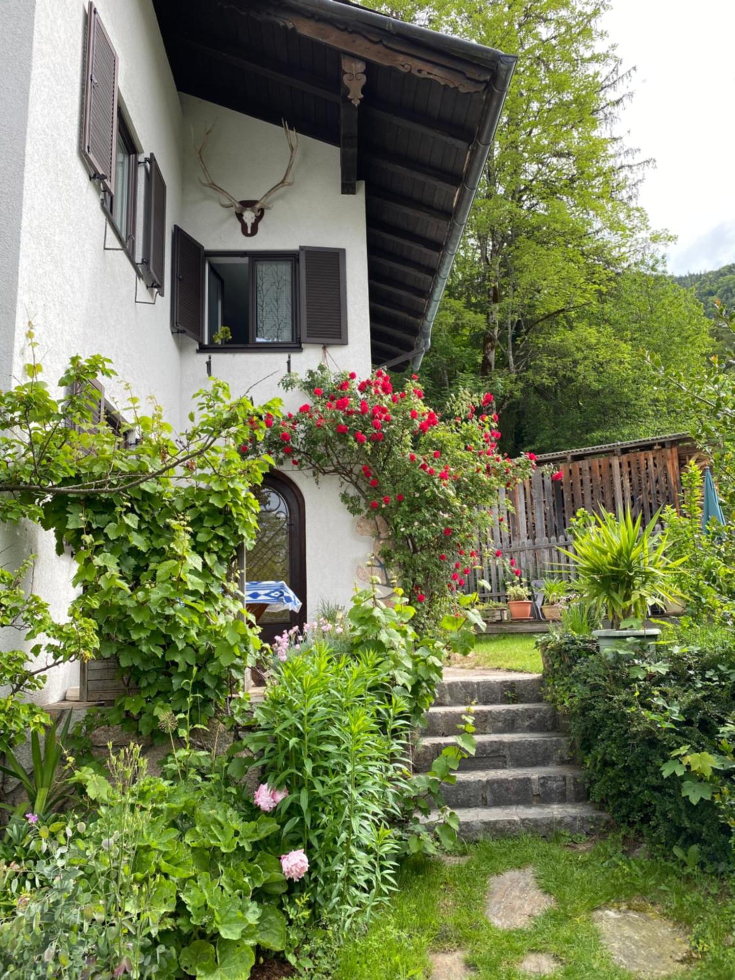 Apartment Laimer, Radau 37